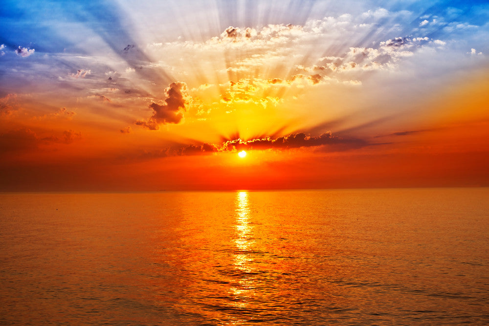How To Start Your Week Like a Yogi